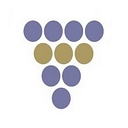 Vin X logo