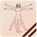 Vinci Hair Clinic logo