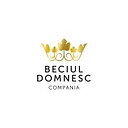 Vincon Romania logo