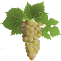 UK VINE CARE LTD logo