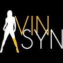 vinegarsyndrome.com logo