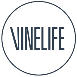 Vinelife Church Manchester logo