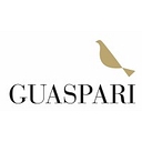 vinicolaguaspari.com.br icon