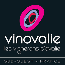 vinovalie.com