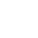 Favicon of VintageView