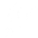 Vintage Wine Merchants Inc logo