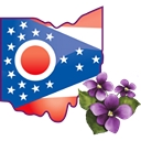 Town of Violet logo
