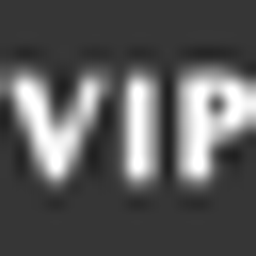 VIP Security logo