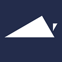 Virginia Foundation for the logo
