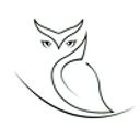 Virtual Crown Productions And Consulting logo