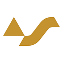 Virtual Surveyor logo