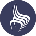Virtual Staging Solutions logo