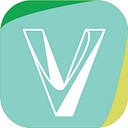 Virtuoso Criminal And Dui Lawyers P