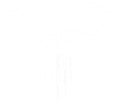 Visibility Management logo