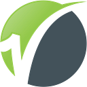 Visigon logo