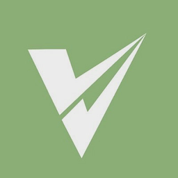 Visionary Finance Ltd logo