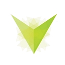 Visionary Food Solutions logo