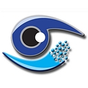 Favicon of Vision Idz