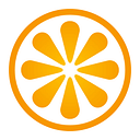 VisitBasis logo