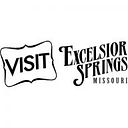 DOWNTOWN EXCELSIOR PARTNERSHIP INC logo