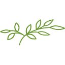 The Orchards Health Center logo