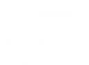 Vis Group, Inc. logo
