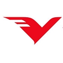Vision India Services Pvt. Ltd. logo
