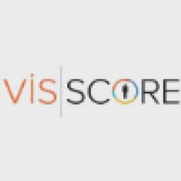 VISSCORE LTD logo