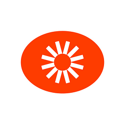 Visual Electric logo
