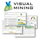 NetCharts by Visual Mining