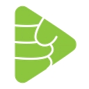 Punch Visual Concepts logo