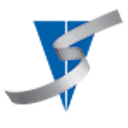 Visual Sound logo