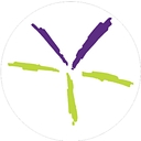 Visual Terrain, Inc. logo