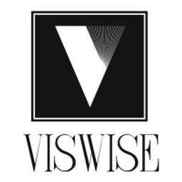 VisWise, LLC logo