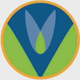 vit-best.com logo