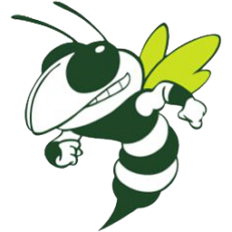 V I T Elementary School logo