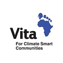 Vita Ireland logo