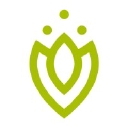 Vitakruid logo