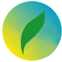 VITAL EARTH PTE. LTD. logo