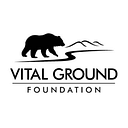 THE VITAL GROUND FOUNDATION INC logo