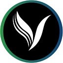 vitalitypt.ca logo