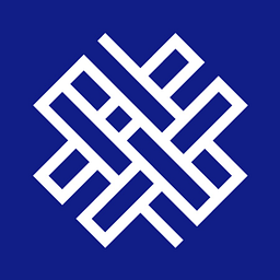 Vital Strategies, Inc. logo