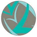 Favicon of Vital Voices