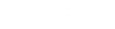 Vitus Consulting Group, Llc logo