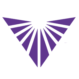 Vivid Impact Company Logo