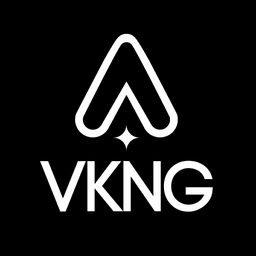 VKNG Group logo