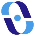 The Visionlink Advisory Group logo