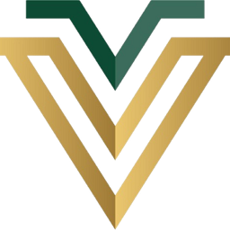 VLaunch Solutions LLC logo