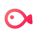vllo.io icon