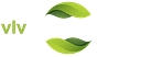 Vlv Development   Vgi Energy   Transformation Housing logo